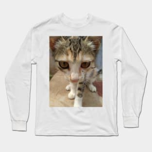 kitten Long Sleeve T-Shirt